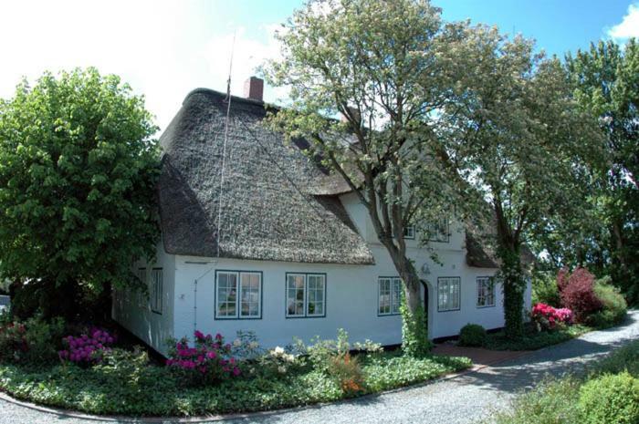 Appartement Hof Luisengrund à Tating Extérieur photo